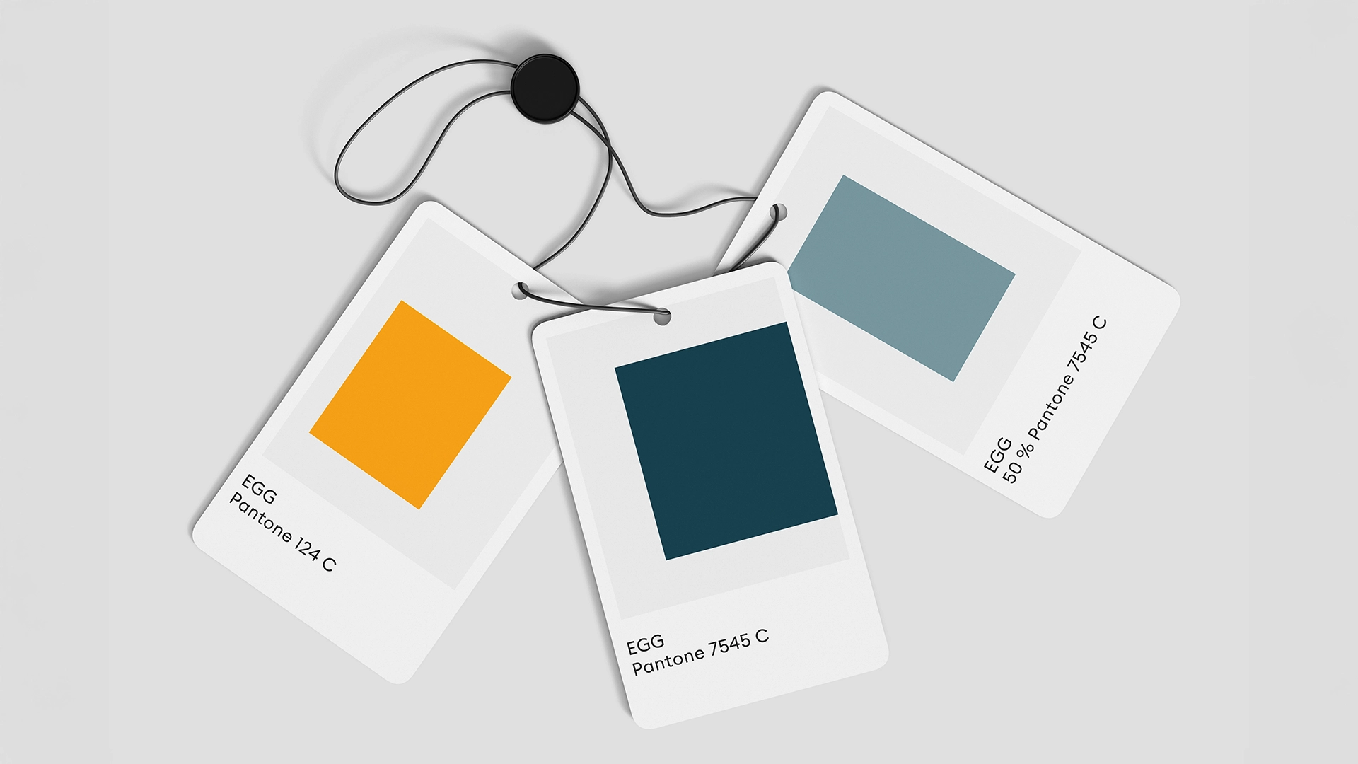 Hausfarben der Energiegenossenschaft Gera – drei Pantone-Farbmuster in Gelb, Petrol und Blau definieren das einheitliche Corporate Design.